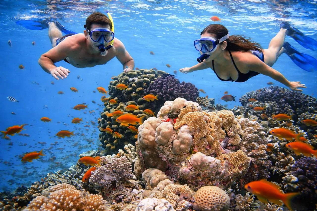 Snorkelling at the Islet "Djeu"